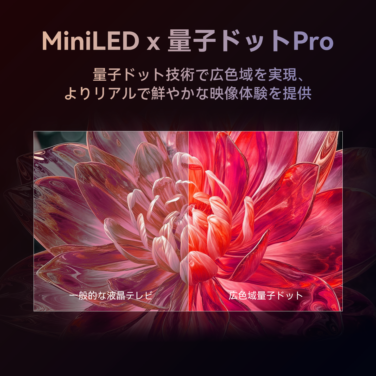 FPD 65V型 チューナーレステレビ Mini LED 量子ドット 倍速 4K 144Hz Google TV ネット動画対応 スマートテレビ HDR10対応 Dolby Vision Dolby Atmos ゲームモード EARC MEMC Google Cast内蔵 音声検索 VESA規格