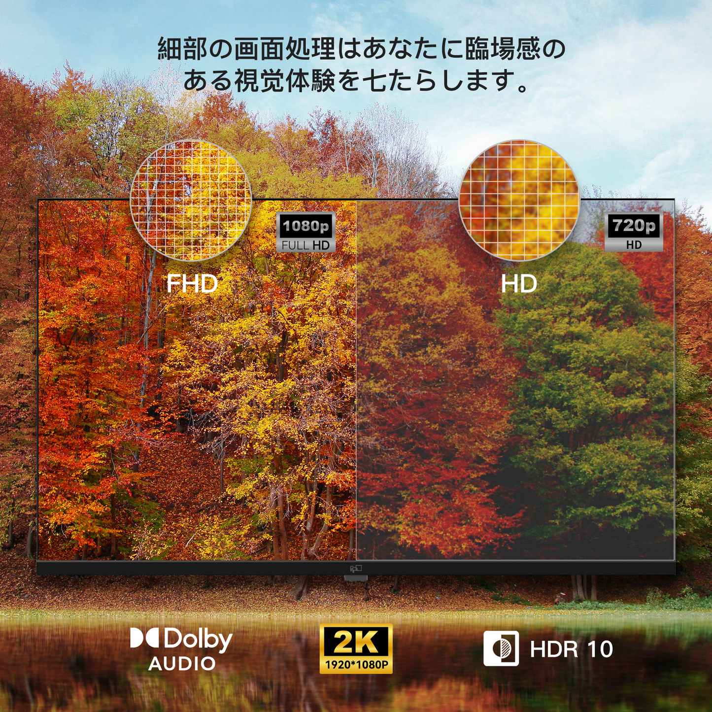 FPD チューナーレス テレビ 40V型 FHD Google TV フレームレス液晶テレビ Google Cast対応 インターネットビデオ対応 HDR10 Dolby Audio対応 音声検索対応 VESA規格対応