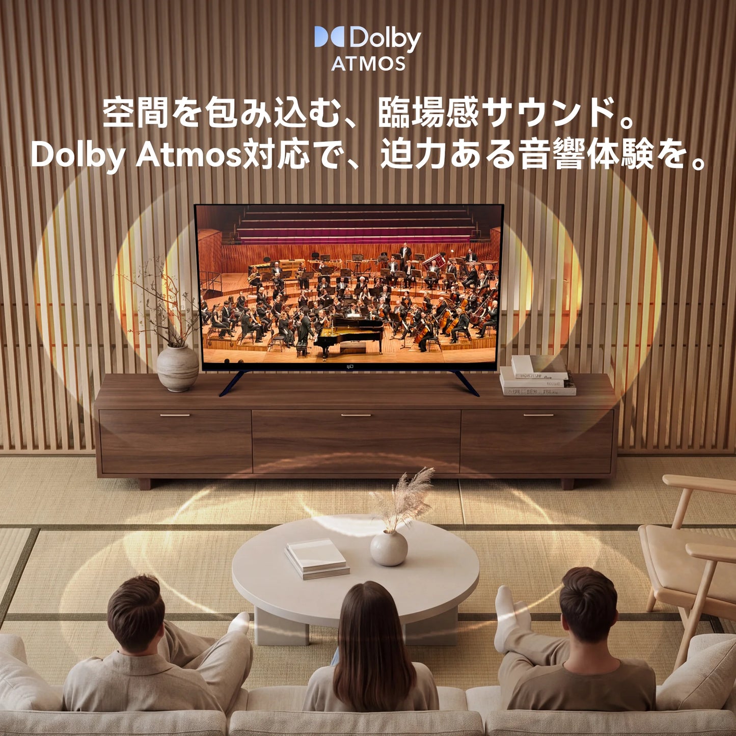 FPD 43V型 4K Google TV｜Wチューナー搭載(CG43-C3)