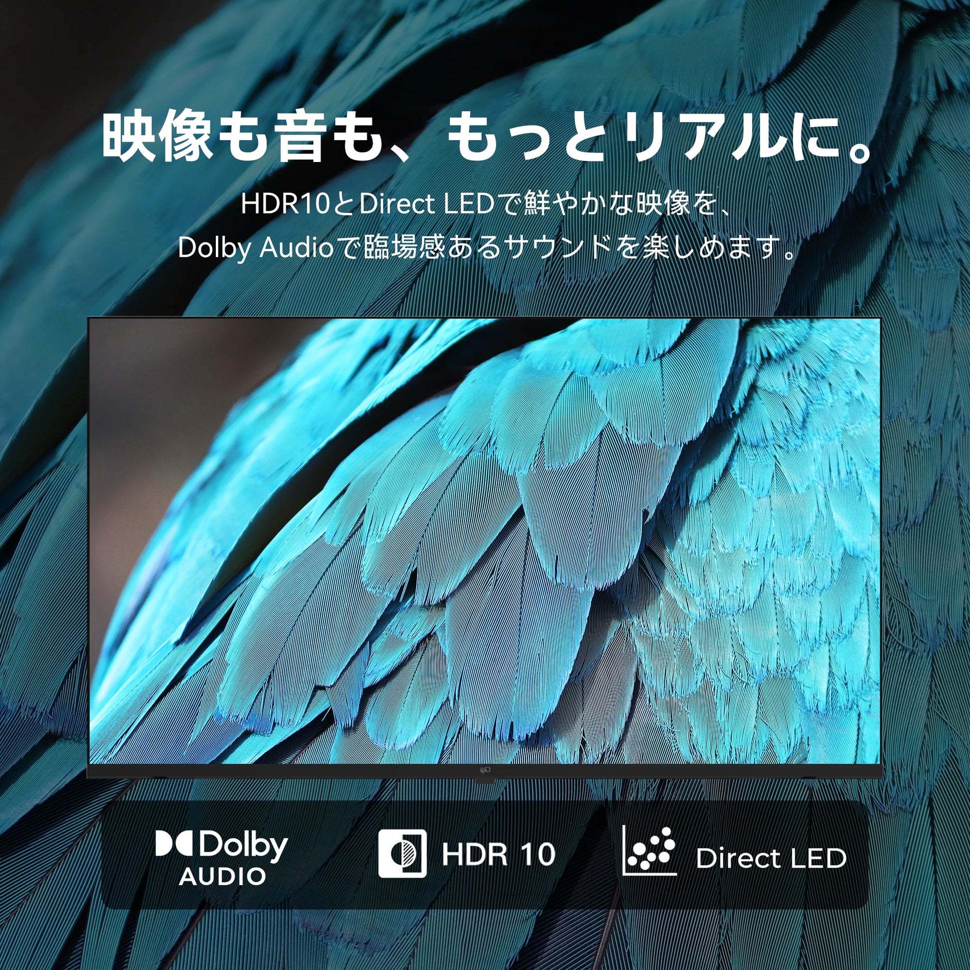 FPD 32V型 チューナーレス 720P Google TV | HDR10・Dolby Audio・音声