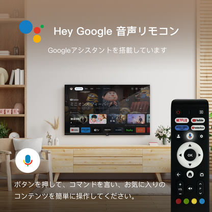 FPD チューナーレステレビ 43V型 4K Google TV ネット動画対応 スマートテレビ HDR10対応 Dolby Vision Dolby Atmos MEMCテクノロジー Google Cast内蔵 音声検索対応 VESA規格