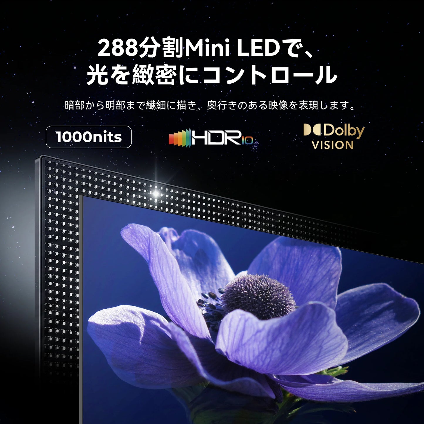 FPD 65V型 4K Mini LED チューナーレス Google TV(JG65-I2)