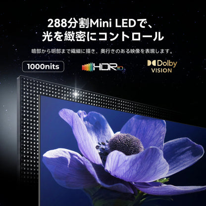 FPD 65V型 Mini LED 4K チューナーレス Google TV | 144Hz VRR対応【公式】