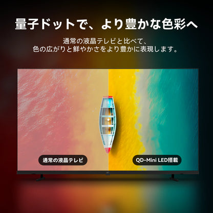 FPD 50V型 4K Mini LED チューナーレス Google TV(CG50-S2)