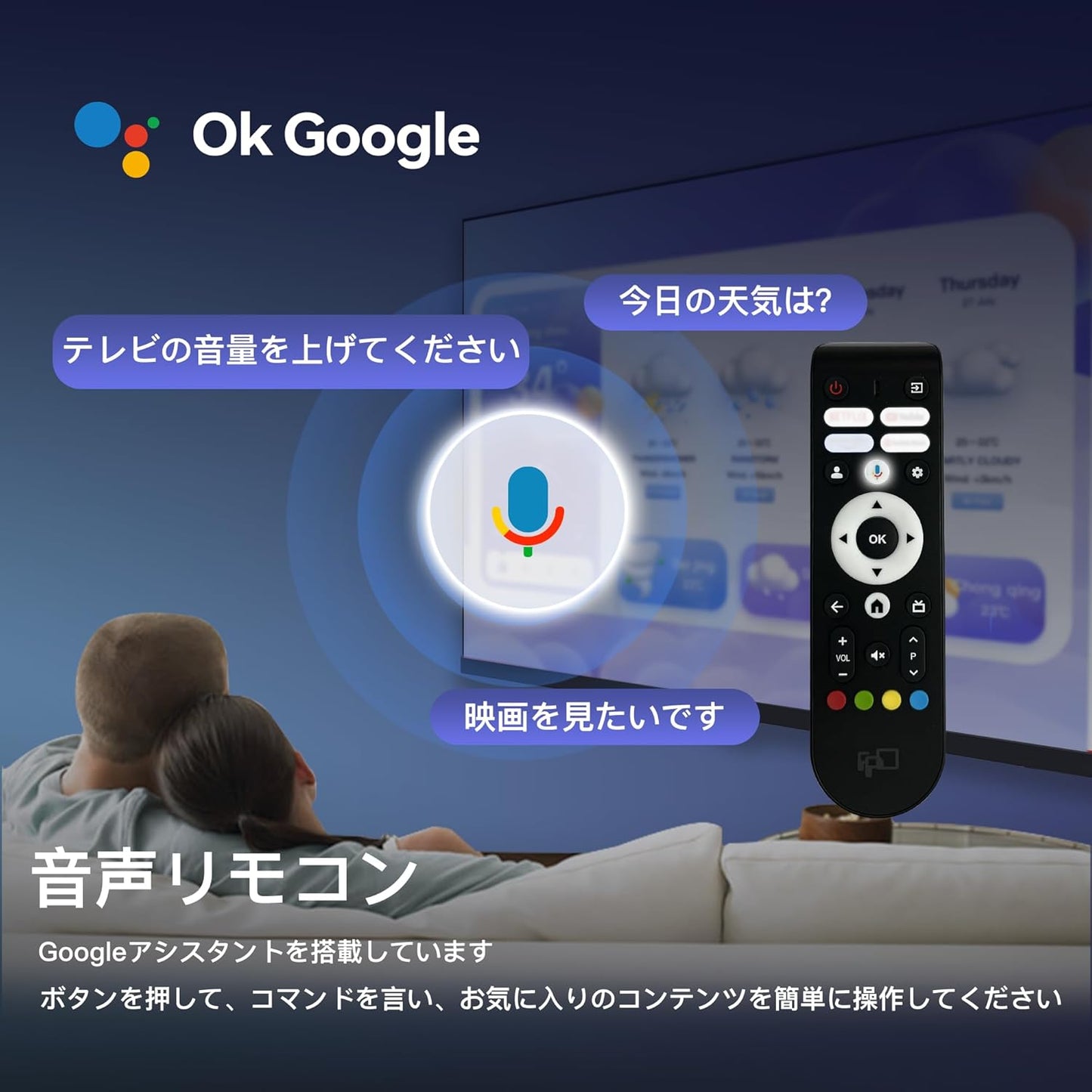 FPD Paletteシリーズ 音声リモコン Googleアシスタント対応