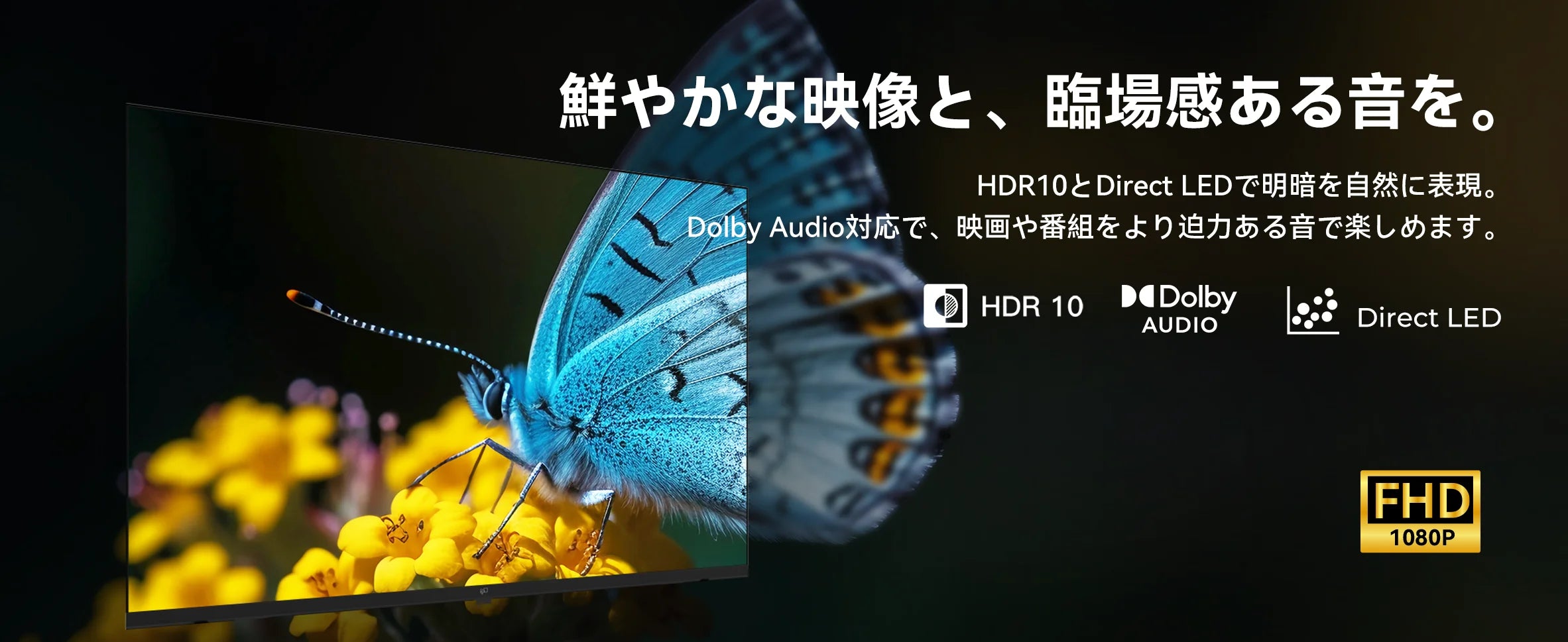 FPD Paletteシリーズ Dolby Audio HDR10 Direct LED対応 高画質ディスプレイイメージ